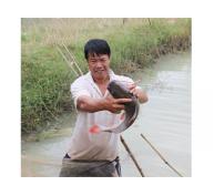 Làng Nuôi Cá Lăng Ở Xã Hòa Phú (Đắk Lắk)