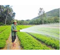 Khánh Hòa có hơn 5.000 hộ vay vốn Quỹ Hỗ trợ nông dân
