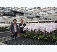 Thấy gì từ công nghệ sản xuất hoa lan hiện đại ở Đài Loan?