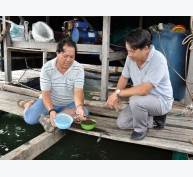 Bí quyết làm giàu - Thu lãi hàng trăm triệu từ nuôi cá lồng bè