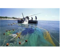 Giảm Hơn 1.000 Tàu Cá Đánh Bắt Gần Bờ Ở Kiên Giang