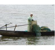 Sau Tết giá tôm cá tăng gấp 3, dân ngày đêm đi thả lưới lồng