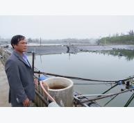 Quảng Bình: Chuyện con tôm ở Ngư Thủy Trung