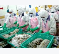 Đề nghị Chính phủ Úc sớm bãi bỏ lệnh tạm ngừng nhập khẩu tôm và thịt tôm chưa nấu chín