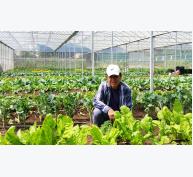 Trang trại rau organic triệu đô ở Đà Lạt