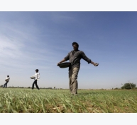 Ấn Độ: nhà nông trông chờ ở startup công nghệ