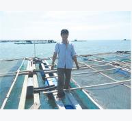Bình Thuận Nuôi Cá Bớp Trên Biển