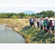 Xây Dựng Tiểu Vùng Nuôi Cá Rô Phi Tập Trung Tại Khu Vực Miền Đông: Hướng Đi Mới Cho Người Nông Dân