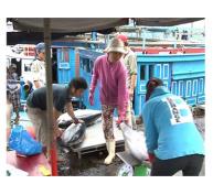 Năm 2015, Khánh Hòa Tiếp Tục Thực Hiện Dự Án “Thu Thập Số Liệu Cá Ngừ Tại Việt Nam”