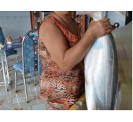 Sản lượng cá bông lau đánh bắt được ngày càng giảm