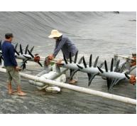 Thị Xã Quảng Yên (Quảng Ninh) chuẩn bị cho vụ nuôi trồng thuỷ sản xuân hè 2016