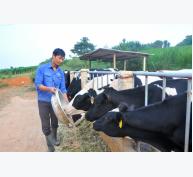 Minh bạch khái niệm sữa có lợi cho cả nông dân và ngành sữa