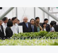 Tổng thống Israel nếm thử rau mầm Việt Nam ngay tại vườn