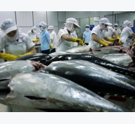 Nhu cầu nhập khẩu cá ngừ chế biến của Đức tăng trong năm 2018