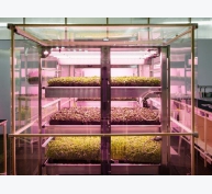 Mô hình nông trại trong nhà trồng rau siêu nhanh của Ikea