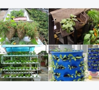 4 mô hình trồng rau tại nhà thông minh ai cũng có thể áp dụng