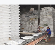 Cơ hội xuất khẩu gạo đang mở