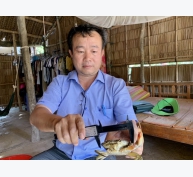 Nông dân Trà Vinh phấn khởi từ dự án nuôi cua quảng canh