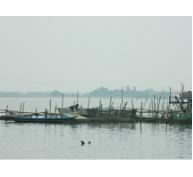 Nuôi Cá Lồng Gặp Khó Ở Hải Dương (Thừa Thiên - Huế)