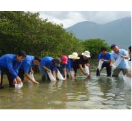 Thả Hơn 1 Triệu Con Giống Thủy Sản Xuống Đầm Nha Phu Ở Khánh Hòa