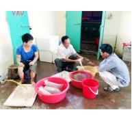 Sản Xuất Con Giống Thuỷ Sản Ở Quảng Ninh Chưa Đáp Ứng Được Nhu Cầu