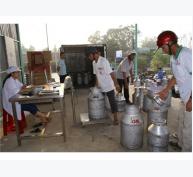 Trảng Bàng (Tây Ninh) Thu Hoạch Hơn 10.000kg Sữa Tươi Mỗi Ngày