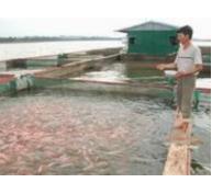 Quy chuẩn quốc gia về điều kiện nuôi thủy sản