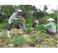 Trao “cần câu” cho nông dân