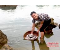Nhận diện giá trị thủy sản miền Tây Nghệ An