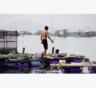Khánh Hòa: Triển vọng từ nuôi tôm hùm xanh