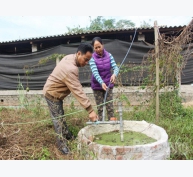 Mở rộng quy mô chăn nuôi nhờ hầm khí biogas tại Bắc Giang