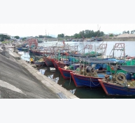 Quảng Ninh đẩy mạnh công tác chống khai thác hải sản bất hợp pháp