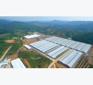 Quảng Ninh với tham vọng quy hoạch vùng chăn nuôi an toàn quy mô lớn