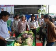 Hội chợ trái cây tỉnh Bình Phước lần thứ nhất
