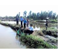 Huyện Hồng Dân (Bạc Liêu) bàn giải pháp bảo vệ tôm nuôi