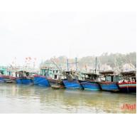 Quỳnh Lưu (Nghệ An) khẳng định mũi nhọn kinh tế thủy sản