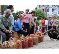 Mận tam hoa đầu mùa bán giá cao