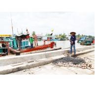 Ngư dân U Minh phấn khởi với nghề câu mực ốc