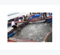 Khuyến khích phát triển nuôi cá lồng vùng hồ Thủy điện Hòa Bình