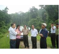 Tăng cường bảo vệ rừng biên giới Việt - Lào