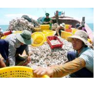 Lệnh cấm đánh bắt cá của Trung Quốc là vô giá trị