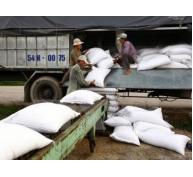 Cần linh hoạt trong điều hành xuất khẩu gạo