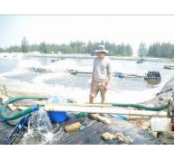 Hạn chế lấy nước biển vào hồ nuôi trồng thủy sản