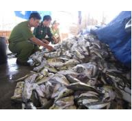 Buộc tiêu hủy hải sản không an toàn