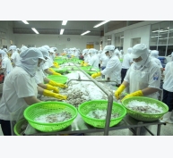 Xuất khẩu thủy sản Bình Định giảm mạnh