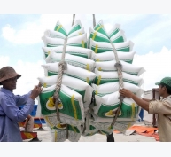 Rộng cửa xuất khẩu cho hạt gạo Việt Nam