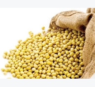 Thị trường nguyên liệu - thức ăn chăn nuôi thế giới ngày 18/5: Giá đậu tương tăng