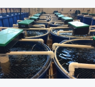Hướng dẫn nuôi trồng thủy sản tuần hoàn - Phần 7