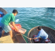 Tổng sản lượng thủy sản Quảng Nam 4 tháng đầu năm ước đạt gần 35 nghìn tấn