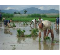 Đơn Dương Sẽ Thành Huyện Nông Thôn Mới Kiểu Mẫu